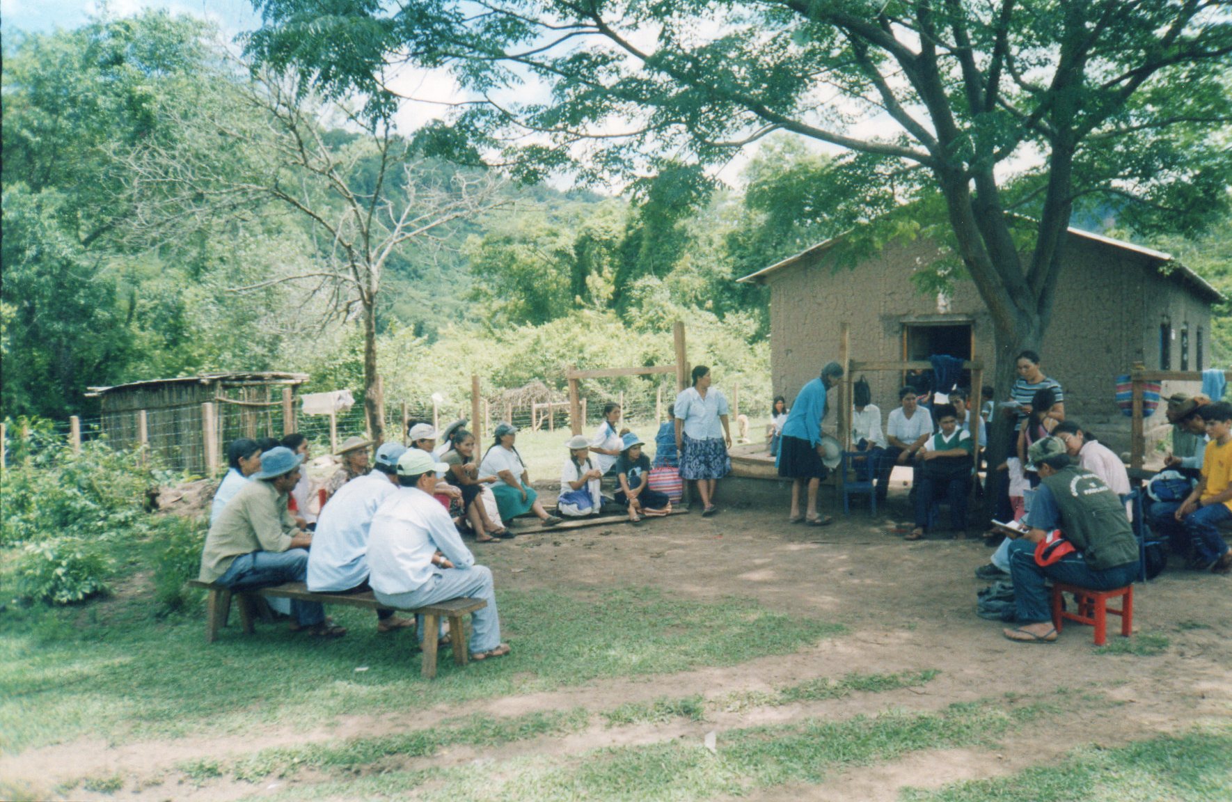Img003