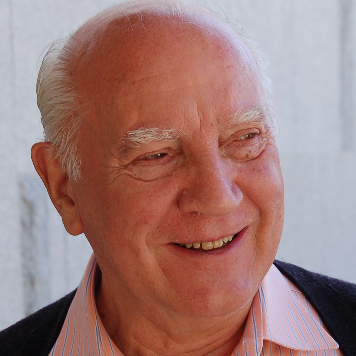 P. Julio Vivas González