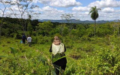 Missionary Voluntary Service: Two Experiences from the South
