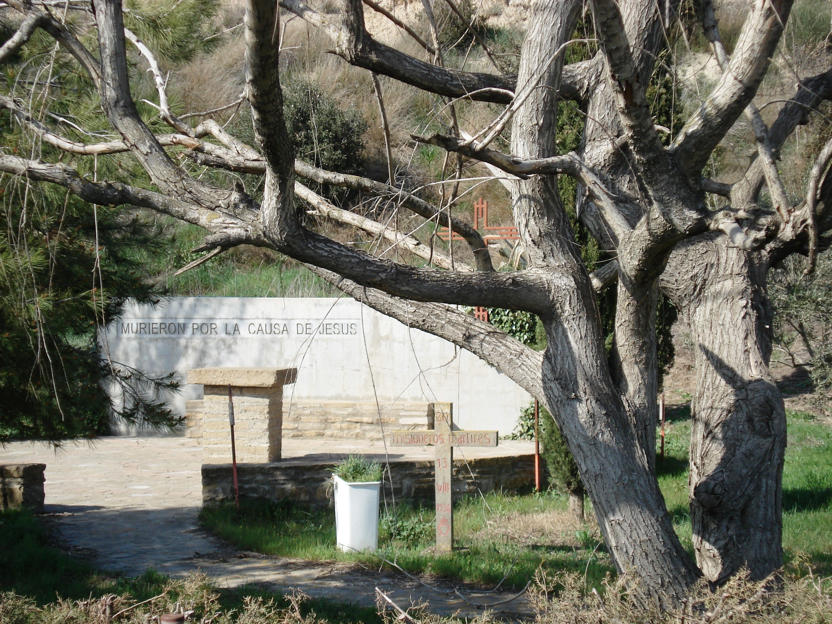 Dsc03250
