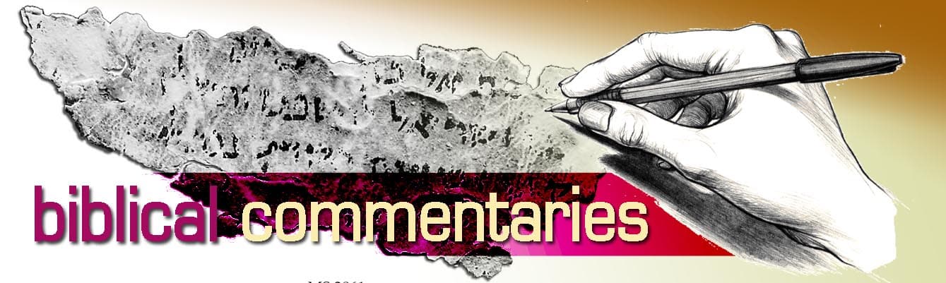 Comentaries En 1