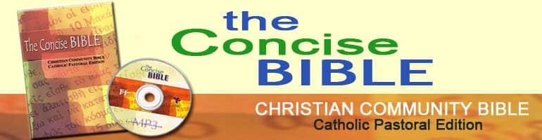 Concise Blog 1