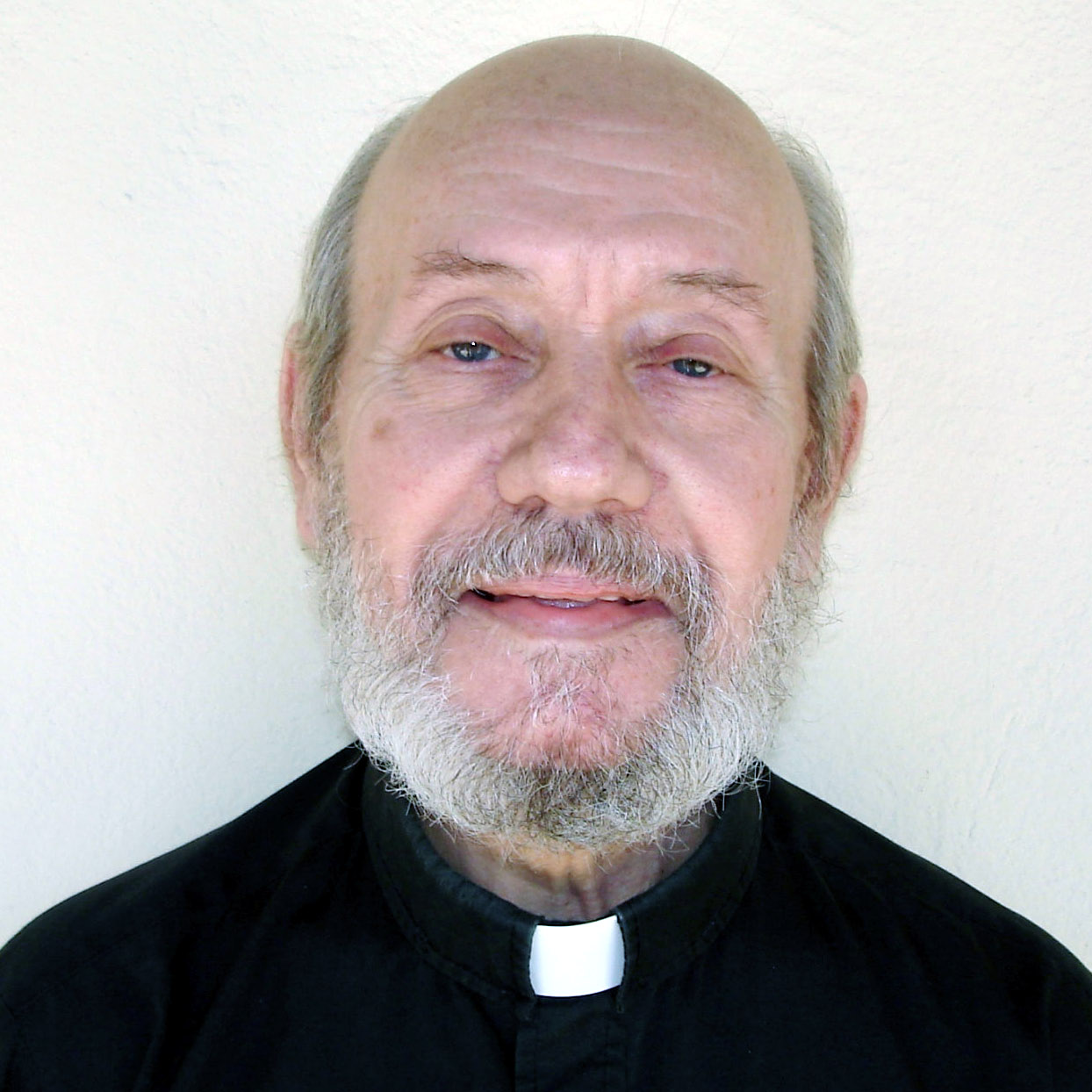 Fr. Alberto Domingo Ornellas